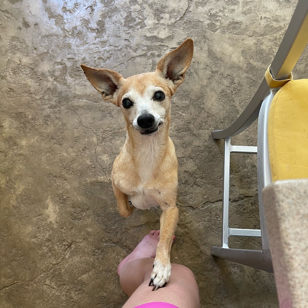 Meet your Posher, Francesca